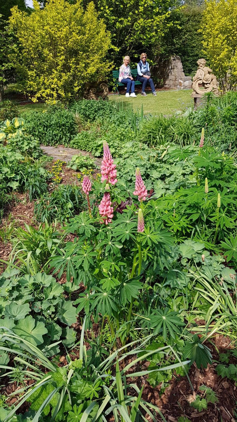 Blühender Staudengarten mit einer Bank im Hintergrund